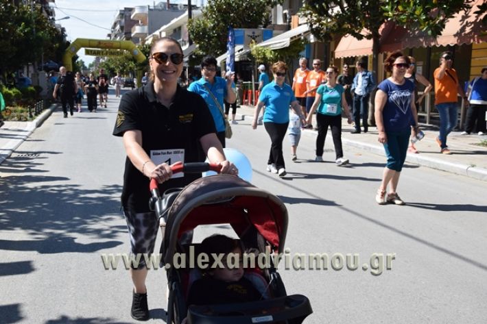 alexandriamou_1_alexandrinos_dromos031